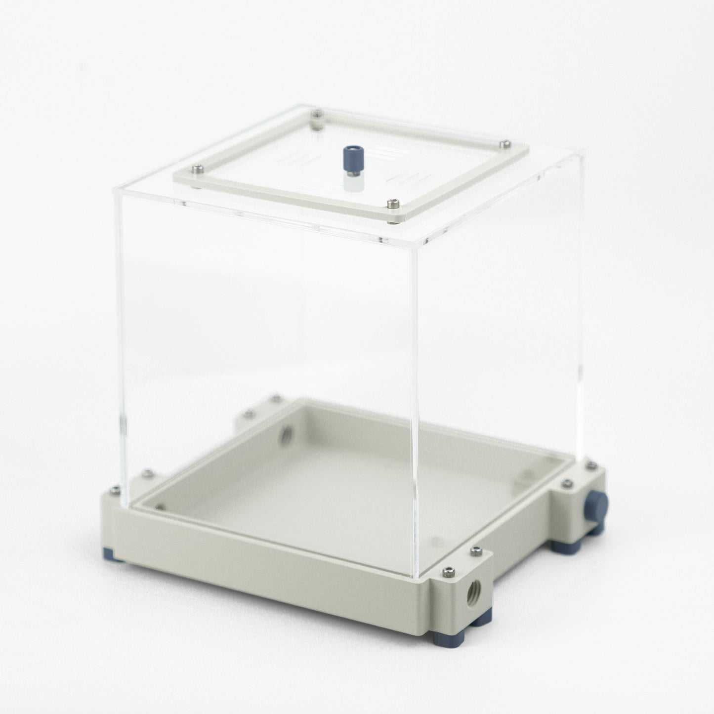 Aire de chasse L premium - Fourmis Shop