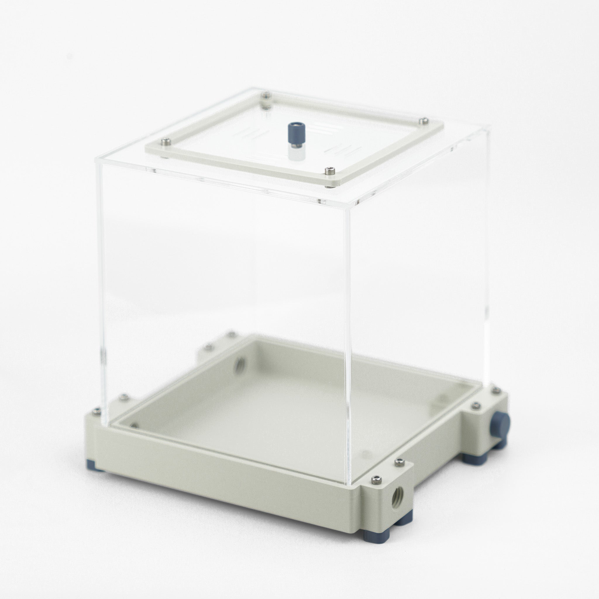 Aire de chasse L premium - Fourmis Shop