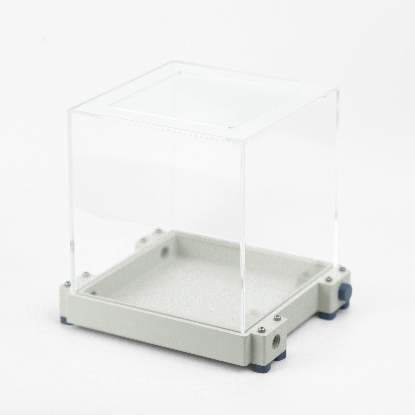 Aire de chasse L premium - Fourmis Shop