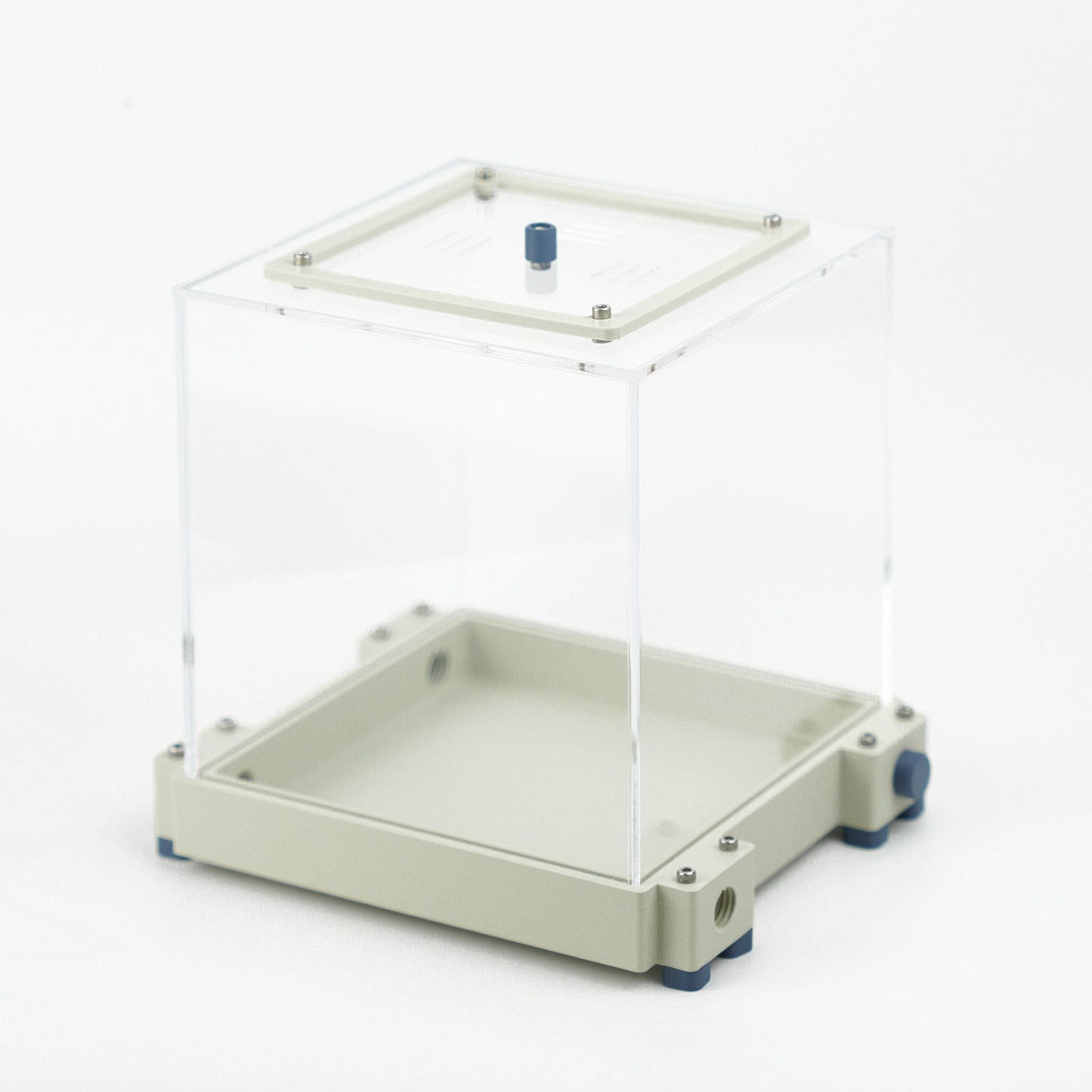 Aire de chasse L premium - Fourmis Shop