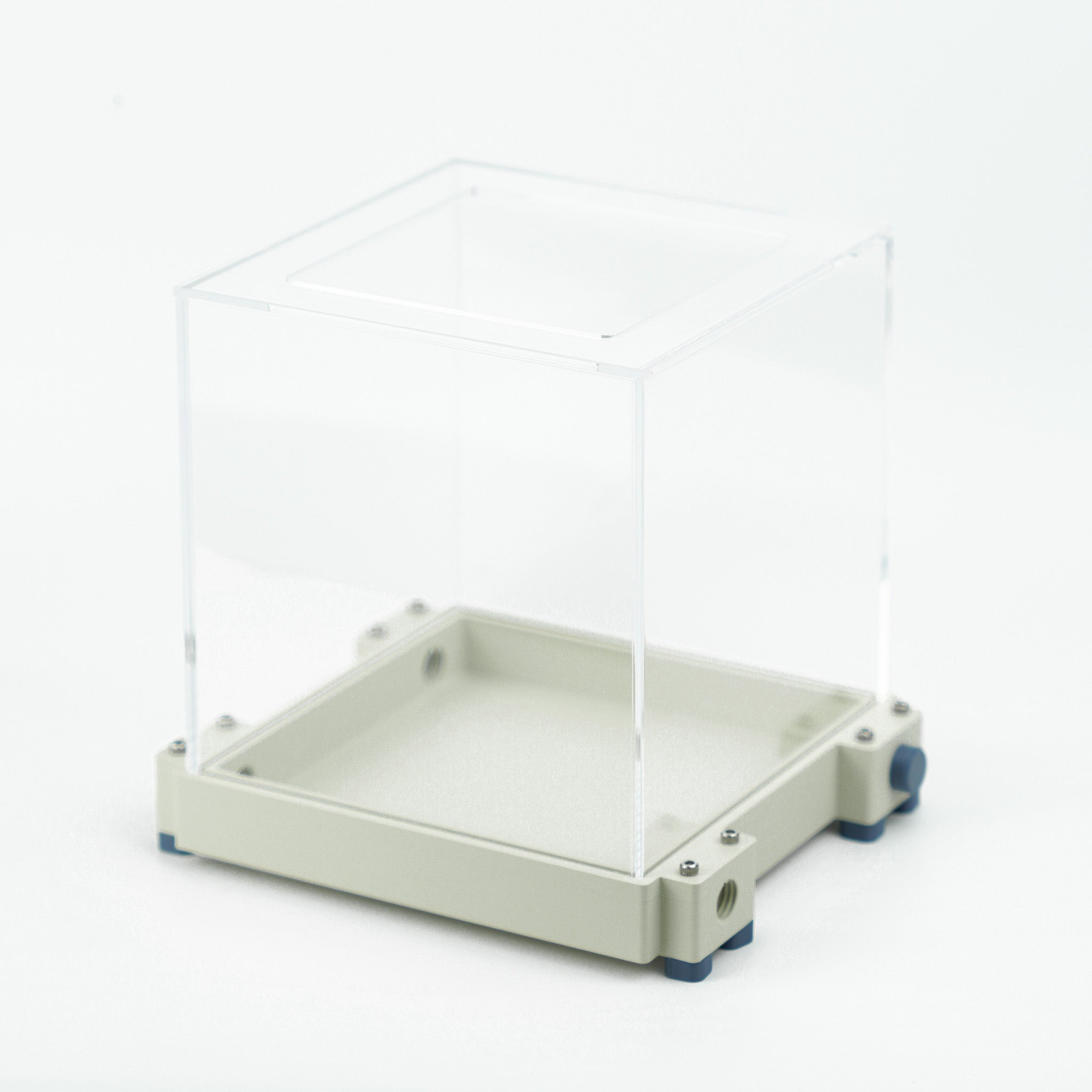 Aire de chasse L premium - Fourmis Shop