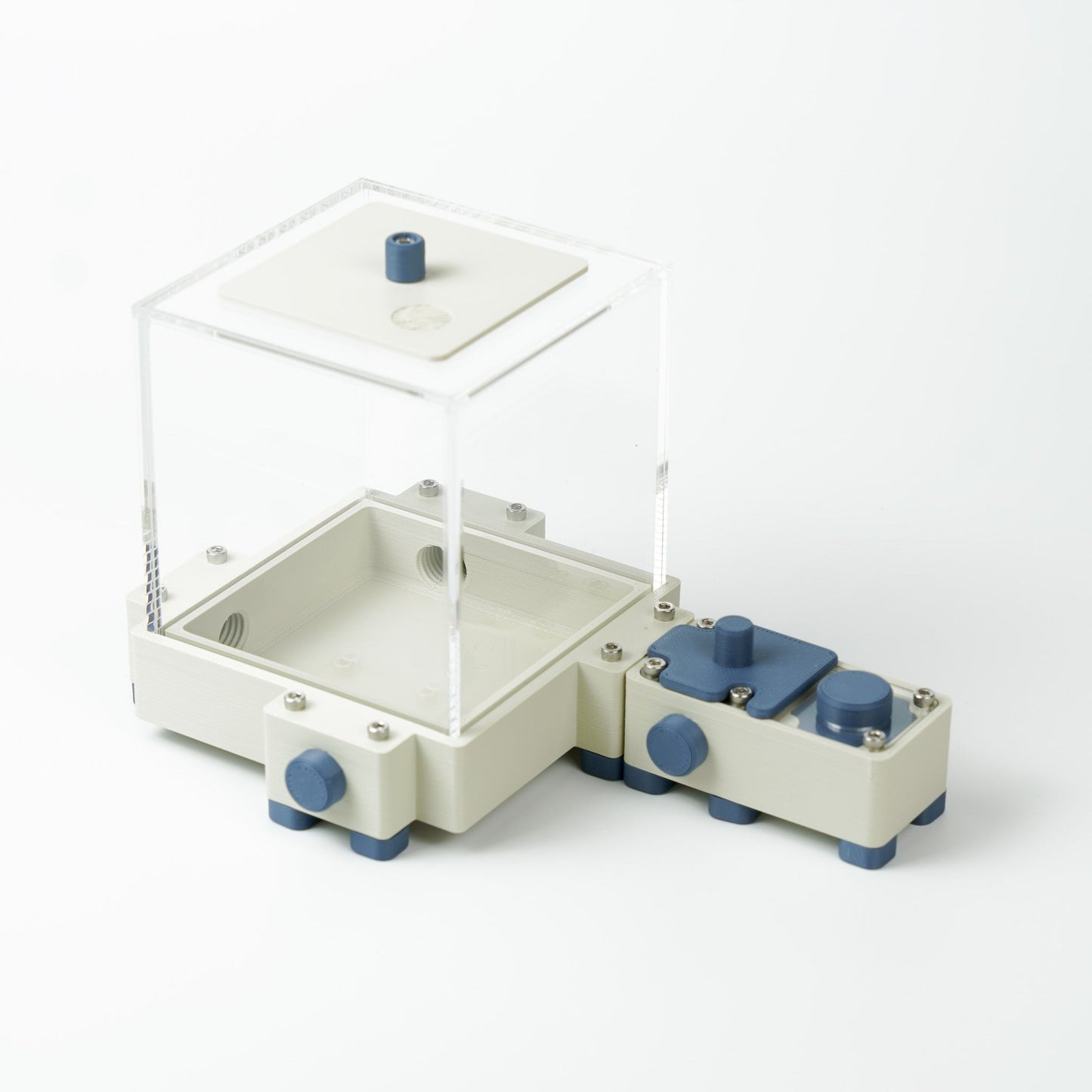 Kit fondation premium - Fourmis Shop