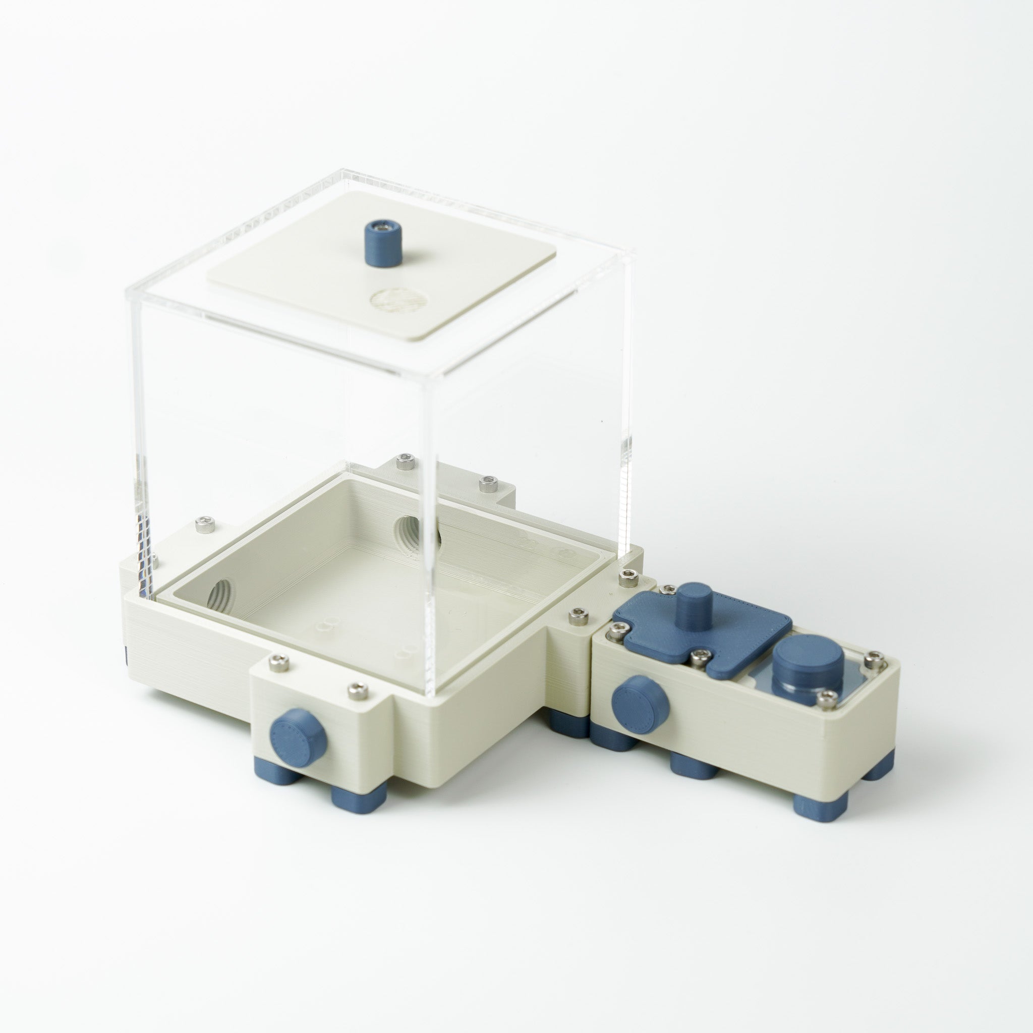 Kit fondation premium - Fourmis Shop