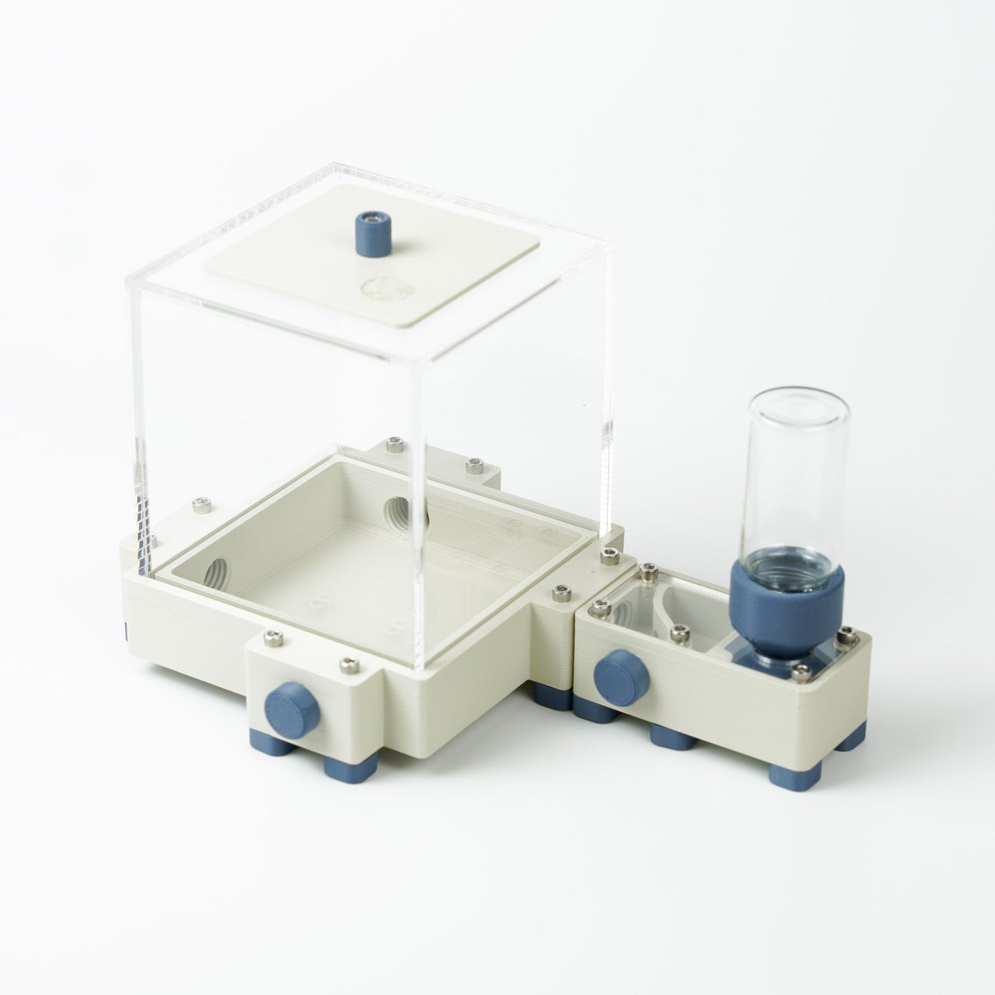Kit fondation premium - Fourmis Shop