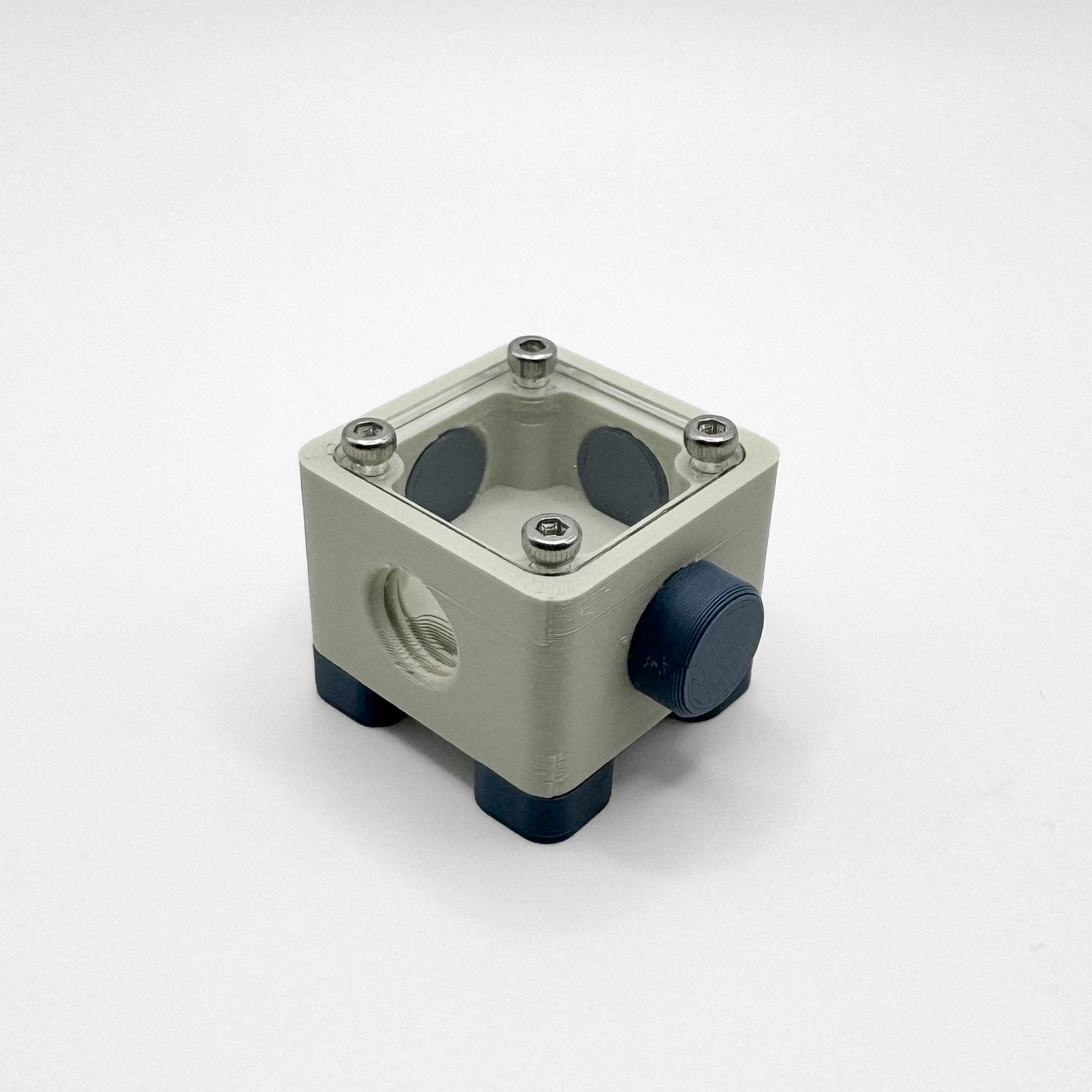 Module XS - Fourmis Shop